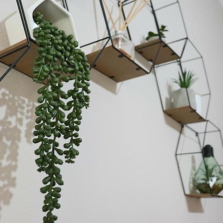 6Th Parodos Ioanni Theotoki 20 Apartment Corfu  Ngoại thất bức ảnh